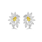 Anastasia’s Golden Radiance Diamond Earrings