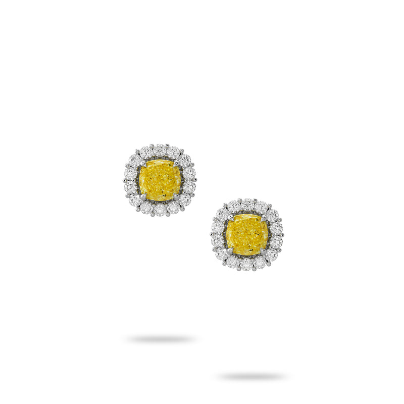 Cushion-Cut Yellow Diamond Earstuds